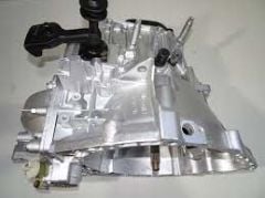 LAGUNA 2 ŞANZUMAN JR5 123