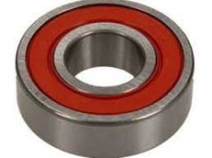 ALTERNATÖR RULMANI SANDERO  6001547564