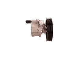 CLİO Laguna Megane Scenic Direksiyon Pompası 491108049R