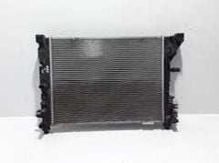 ZOE SU RADYATORU 214104950R